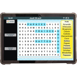 Facilotab Nomad, WiFi + 4G, 128Go, Android 14, Tablette simplifiée pour Seniors