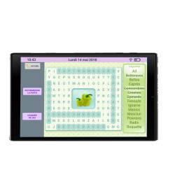 Facilotab L Rubis 2021 - WiFi/4G - 64 Go - Android 11 - Reconditionnée - Comme Neuve