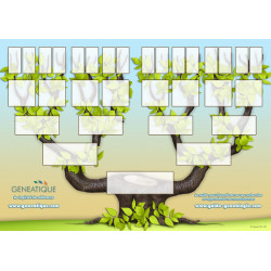 Arbre généalogique ascendant gratuit de 5 générations à imprimer