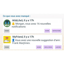 Informations et notifications des applications