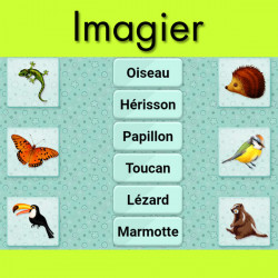 Pack de 13 jeux
