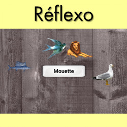 Pack de 13 jeux