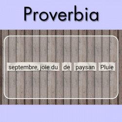 Pack de 13 jeux