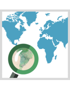 Recherches a l'etranger